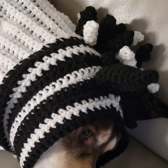 Crochet Zebra Dog Hat - Picture 1 of 1